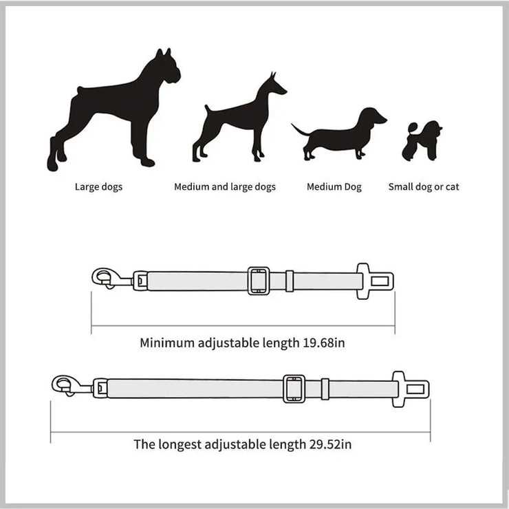 Ceinture de Sécurité Voiture pour Chien et Chat Réglable