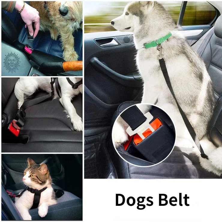 Ceinture de Sécurité Voiture pour Chien et Chat Réglable
