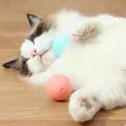 Balle Interactive Électronique pour Chiens et Chats USB