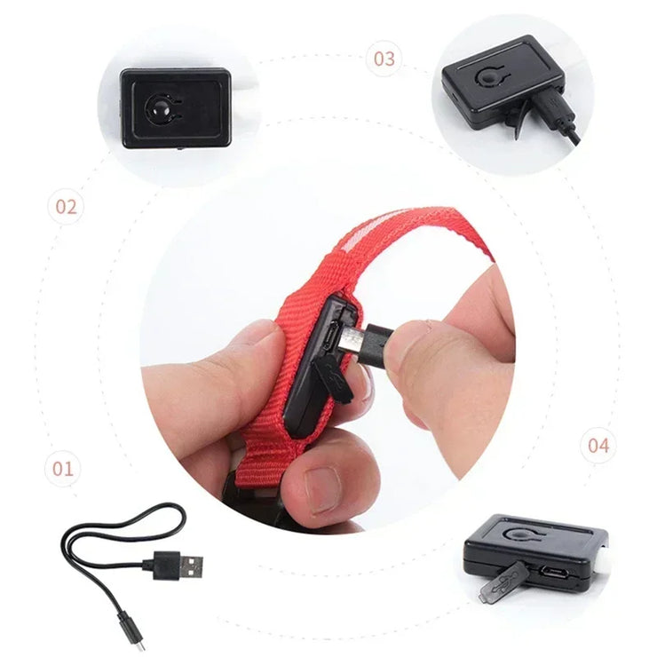 Collier Lumineux LED Chien Réglable Anti-Perte Nuit