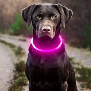 Collier Chien LED Lumineux Anti-Perte Rechargeable USB