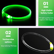 Collier Chien LED Lumineux Anti-Perte Rechargeable USB