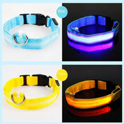 Collier Lumineux LED Chien Réglable Anti-Perte Nuit