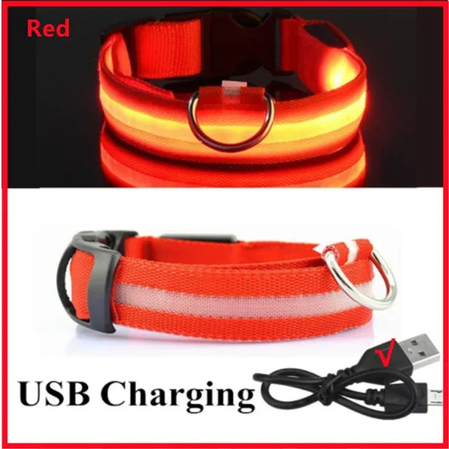 Collier Lumineux LED Chien Réglable Anti-Perte Nuit