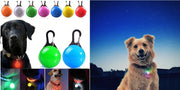 Collier LED Chien Étanche USB Lumineux Sécurité Nuit