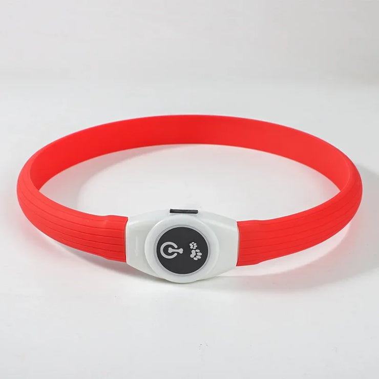 Collier LED Chien Étanche USB Lumineux Sécurité Nuit