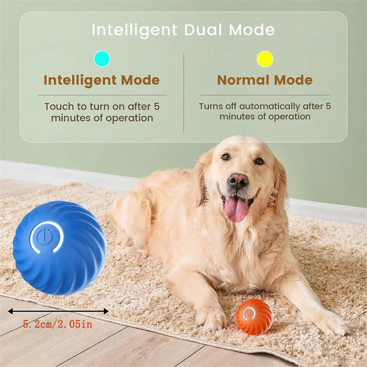 Balle Interactive Électronique pour Chiens et Chats USB