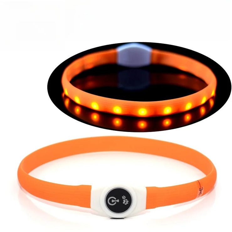 Collier LED Chien Étanche USB Lumineux Sécurité Nuit