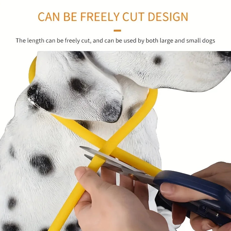 Collier Chien LED Lumineux Anti-Perte Rechargeable USB