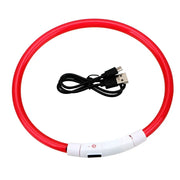 Collier Lumineux Chien LED Rechargeable USB