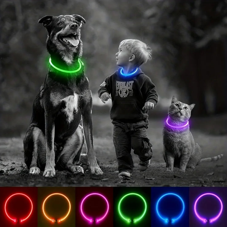 Collier Chien LED Lumineux Anti-Perte Rechargeable USB
