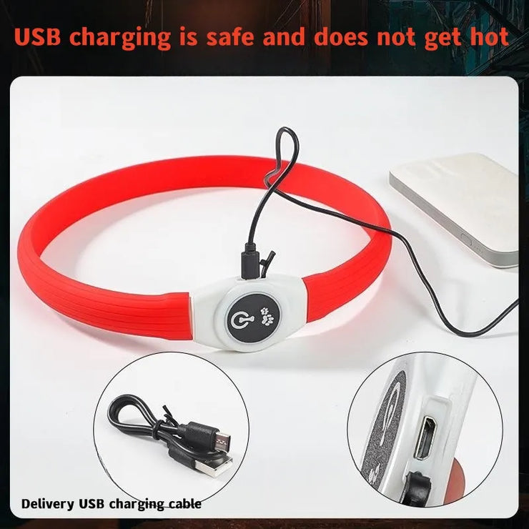 Collier LED Chien Étanche USB Lumineux Sécurité Nuit
