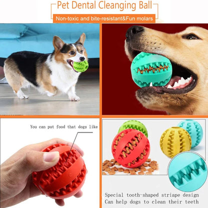 Balles en caoutchouc interactives Puppy Toys Pet Toys Pet Tooth Cleaning Ball Cats Pets Food Treat Feeder Silicon Balls Toy