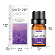 Essential Oil Water Soluble for Aromatherapy Diffuser Humidifier Room Fresheners Stress Relief Rose Lily Lavender Freesia 10ml.Huile essentielle Huile Soluble pour Aromathérapie Diffuser Humidifier Room Fresheners Stress Relief Rose Lily Lavender Freesia