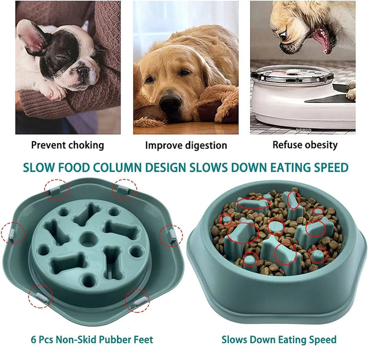 Gamelle Anti-Glouton Chien Antidérapante Slow Feeder