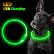 Collier Lumineux Chien LED Rechargeable USB