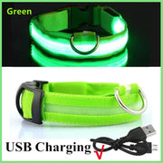 Collier Lumineux LED Chien Réglable Anti-Perte Nuit