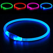 Collier Lumineux Chien LED Rechargeable USB
