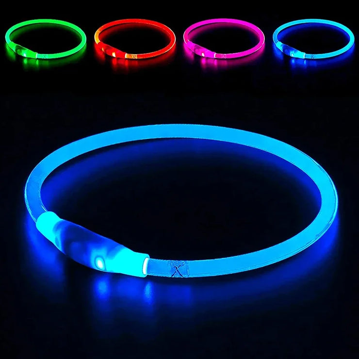 Collier Lumineux Chien LED Rechargeable USB