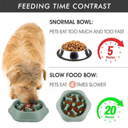Gamelle Anti-Glouton Chien Antidérapante Slow Feeder