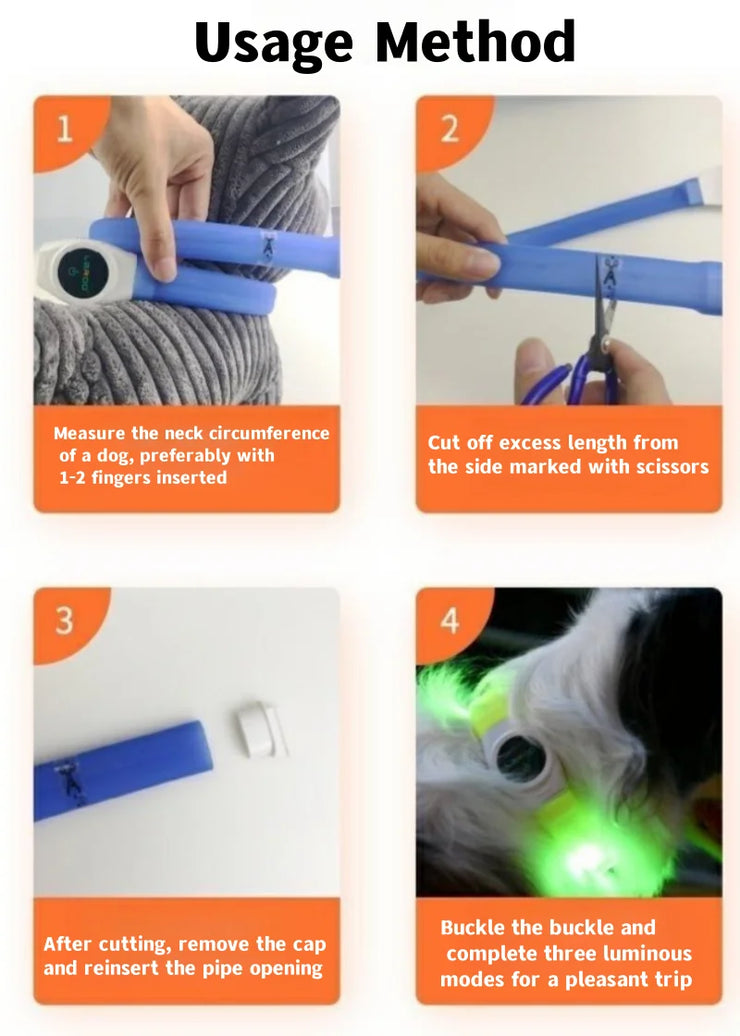 Collier LED Chien Étanche USB Lumineux Sécurité Nuit