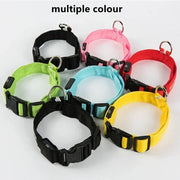 Collier Lumineux LED Chien Réglable Anti-Perte Nuit