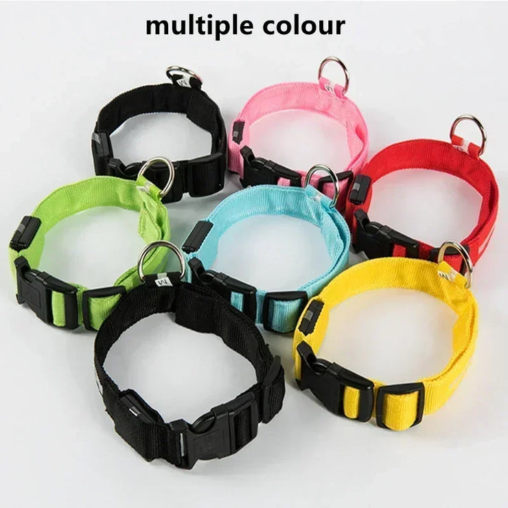 Collier Lumineux LED Chien Réglable Anti-Perte Nuit