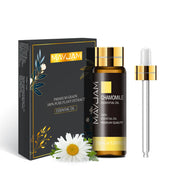Support Dropshipping 10ML Lavender Rose Eucalyptus Jasmine Vanilla Mint Sandalwood Tea Tree Orange Diffuser Aroma Essential Oil.       Prise de 10 ml Rose Lavande Eucalyptus Jasmine Vanilla Mint Bois de santal Arbre à thé Orange Diffuser Huile essentielle