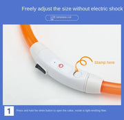 Collier Lumineux Chien LED Rechargeable USB