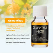Lot 18 Saveurs Huiles Essentielles 10ml Diffuseur & Humidificateur