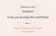 Lot 17 Saveurs Huiles Essentielles 10ml Diffuseur & Humidificateur