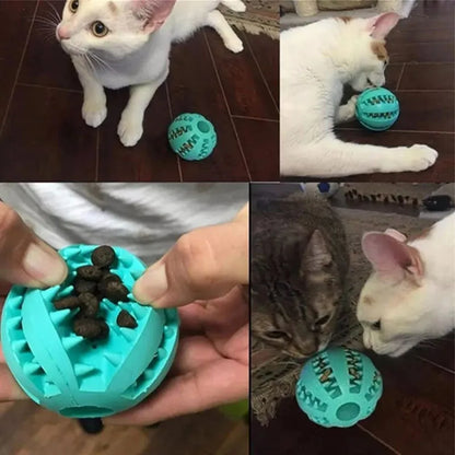 Balles en caoutchouc interactives Puppy Toys Pet Toys Pet Tooth Cleaning Ball Cats Pets Food Treat Feeder Silicon Balls Toy