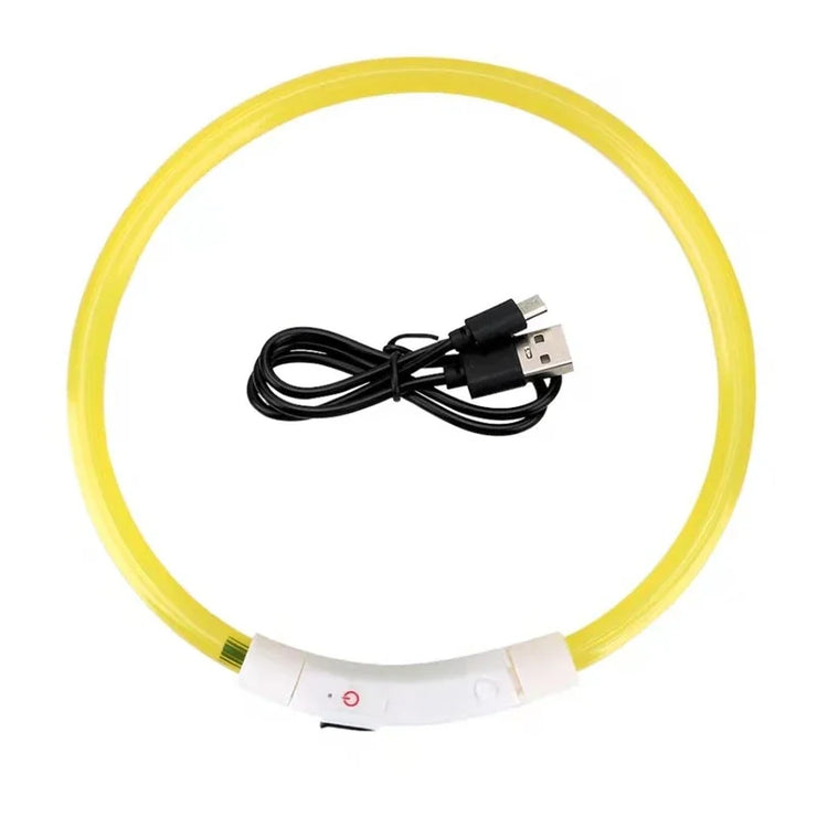 Collier Lumineux Chien LED Rechargeable USB