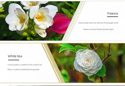 17 Flavors 10ml Essential Oils For Aroma Diffuser AirHumidifier Home Water-soluble Lavender Rose Eucalyptus  White Peach Oolong  17 Saveurs 10ml Huiles essentielles pour diffuseur d'arôme AirHumidifier Home Lavande soluble Rose Eucalyptus White Peach Oolo