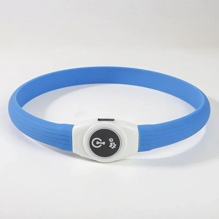Collier LED Chien Étanche USB Lumineux Sécurité Nuit