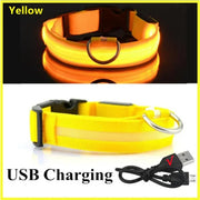 Collier Lumineux LED Chien Réglable Anti-Perte Nuit