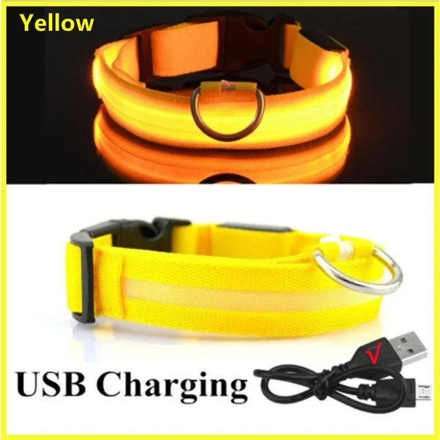 Collier Lumineux LED Chien Réglable Anti-Perte Nuit