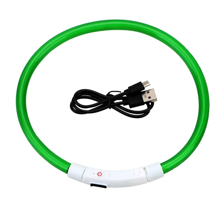 Collier Lumineux Chien LED Rechargeable USB