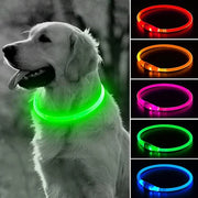 Collier Lumineux Chien LED Rechargeable USB