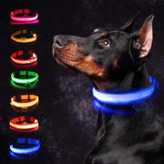 Collier Lumineux LED Chien Réglable Anti-Perte Nuit