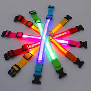 Collier Lumineux LED Chien Réglable Anti-Perte Nuit