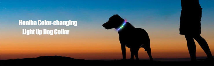 Collier LED Chien Étanche USB Lumineux Sécurité Nuit