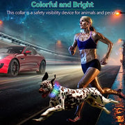 Collier LED Chien Étanche USB Lumineux Sécurité Nuit