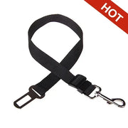 Ceinture de Sécurité Voiture pour Chien et Chat Réglable