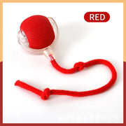 Balle Interactive Électronique pour Chiens et Chats USB