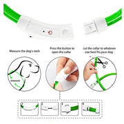 Collier Lumineux Chien LED Rechargeable USB