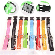 Collier Lumineux LED Chien Réglable Anti-Perte Nuit
