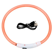 Collier Lumineux Chien LED Rechargeable USB