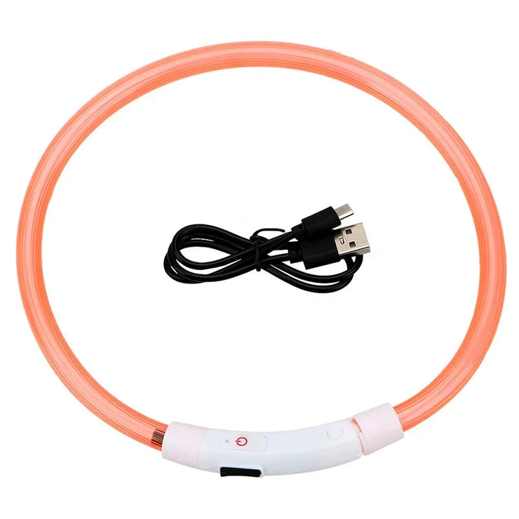 Collier Lumineux Chien LED Rechargeable USB