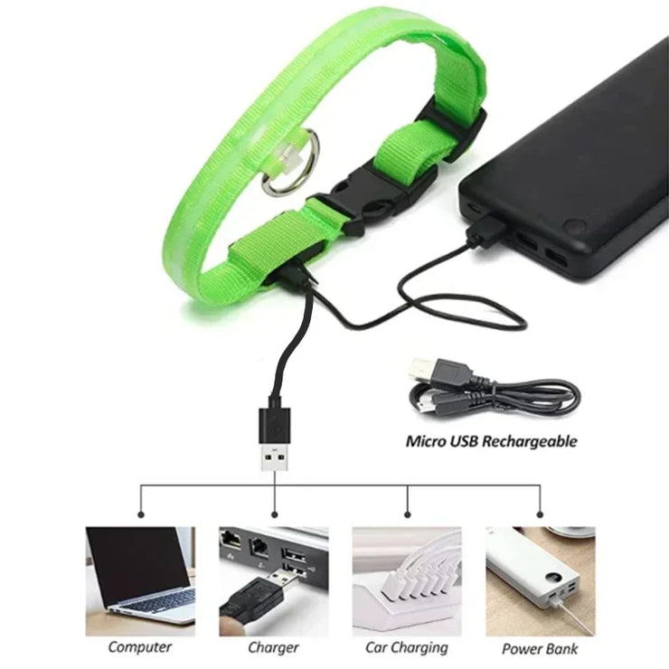 Collier Lumineux LED Chien Réglable Anti-Perte Nuit
